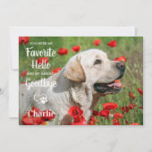 お気に入りのHello Harbest Goodbyeペット悔やみや弔慰写真 サンキューカード (正面)