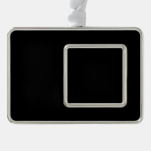 お気に入りカスタマイズもしのもの シルバープレートフレームオーナメント (正面)