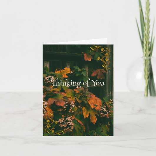 お気に入り考えのカードの個人用設定 サンキューカード (正面)