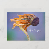 お気に客様の懸念気持ち ポストカード (正面/裏面)