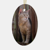 お気をつけて 猫の磁器装飾品 セラミックオーナメント (左)