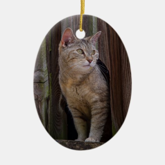 お気をつけて 猫の磁器装飾品 セラミックオーナメント (正面)