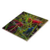 お気をつけて 背面 大 (6" X 6") セラミック フォト タイル (側面)