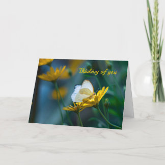 お気考えるに入り サンキューカード