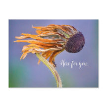 お気遣いと気持ち ここにいるよ