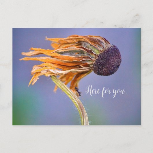 お気遣いと気持ち ここにいるよ ポストカード (正面)