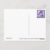 お洒落なAotearoa ポストカード (裏面)