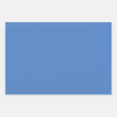 お洒落クリスマス応援ウォーター絵を描カラー ラッピングペーパーシート (正面3)