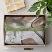 お洒落芸術的ポートレート 薄葉紙 (ギフト)