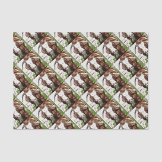 お洒落芸術的ポートレート 薄葉紙 (正面)