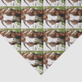 お洒落芸術的ポートレート 薄葉紙 (詳細)