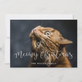 お洒落Meowy Christmas Catの写真 シーズンカード (正面)