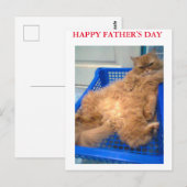 お父さんお誕生日おめでとう ポストカード (正面/裏面)