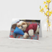 お父さんの日にコメディック犬が言う カード (黄色い花)