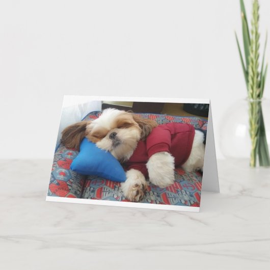 お父さんの日にコメディック犬が言う カード (正面)