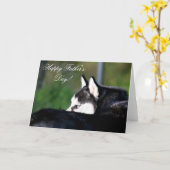 『お父さんの日シベリアハスキー』グリーティングカード カード (黄色い花)