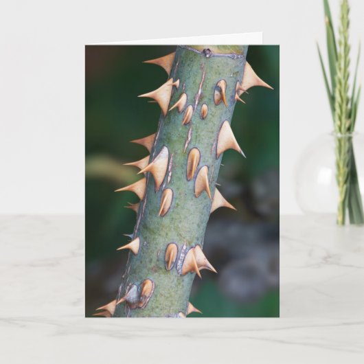 「お父さんの日」は準備ができましたか。 カード (正面)