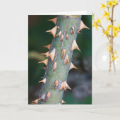 「お父さんの日」は準備ができましたか。 カード (黄色い花)