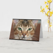 お父さんの日(写真)猫から カード (黄色い花)