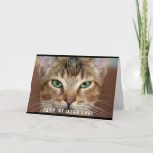 お父さんの日(写真)猫から カード (正面)