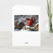 お父様のお世話にな気にりましたナース カード (裏面)