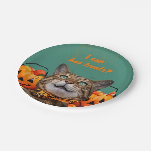 お皿の上のトリートください ペーパープレート (アングル)