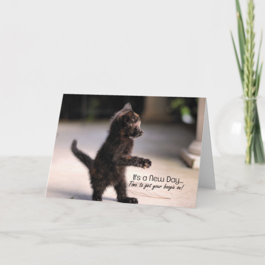 お知らせおもしろいKitten Greeting Card カード (正面)