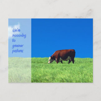 お知らせ 案内ポストカード