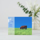 お知らせ 案内ポストカード (スタンド正面)