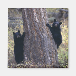 お礼のプレゼント マグネット