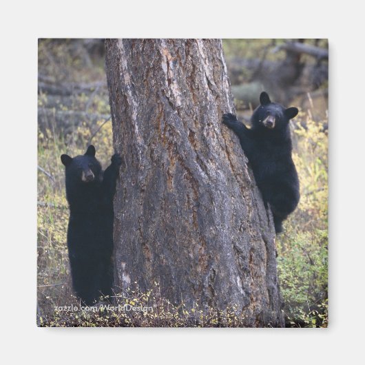 お礼のプレゼント マグネット (正面)