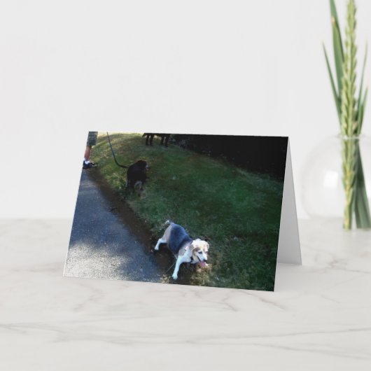 お礼のホスピタリティカード サンキューカード (正面)