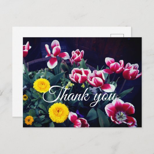お礼の春の花#4はがき ポストカード (正面/裏面)