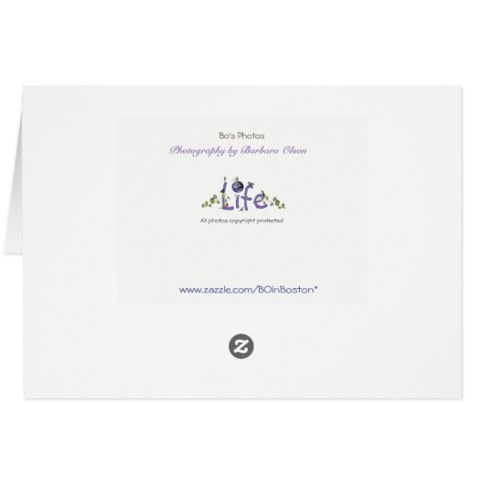 お祈り：癒しの自然 (裏面横)