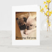 お祈前に カード (黄色い花)