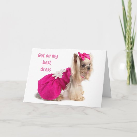 お祝いのカードで「おめでとう」と言っている カード (正面)