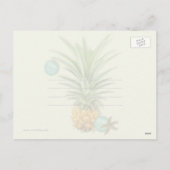 お祝いのパイナップル熱帯クリスマスの郵便はがき シーズンポストカード (裏面)