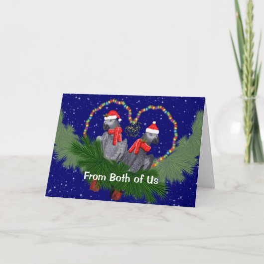 お祝いのフワフワボール（私たちから）カード シーズンカード (正面)