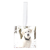 お祝いのメリークリスマス キューブオーナメント (正面)