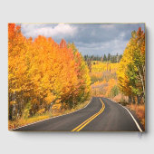 お祝いのライフ秋道端シーンメモリアル ゲストブック (裏面)