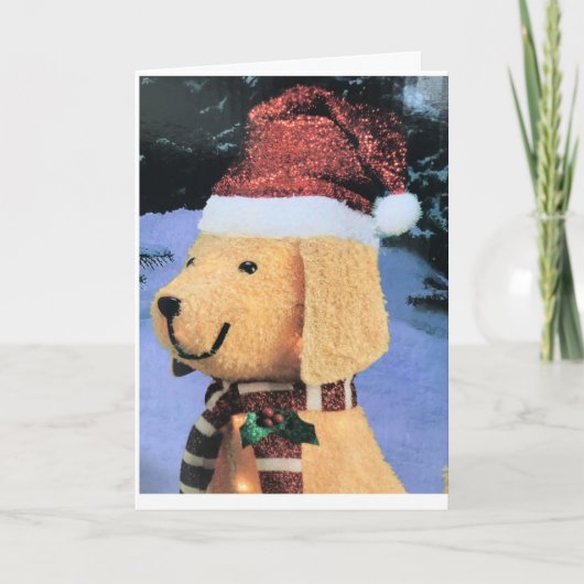 お祝いの季節のご希望をお送り カード (正面)