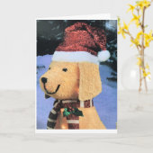 お祝いの季節のご希望をお送り カード (黄色い花)