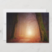 お祝いの日の出サンセットツリーフォレスト 招待状 (裏面)