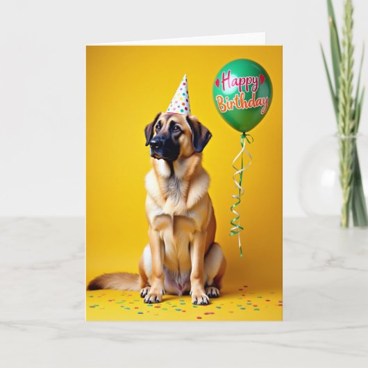 お祝いの犬の帽子 誕生日カード カード (正面)