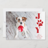 お祝いの足|ペット写真の休日カード シーズンカード (正面)