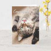 お祝いは幸せな虎猫の子ネコと梳きます カード (黄色い花)