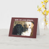 お祝いを早く頼む カード (黄色い花)