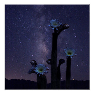 お祝いアンダーザスターズ ポスター