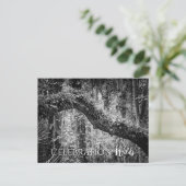 お祝いウィルド シーズンポストカード (スタンド正面)