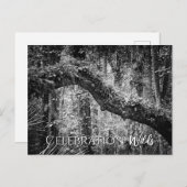 お祝いウィルド シーズンポストカード (正面/裏面)